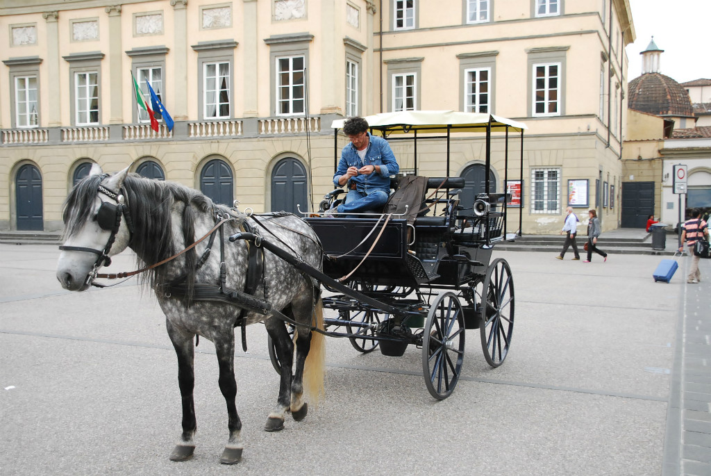 Lucca; een rondrit door de stad met paard en wagen